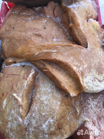 Корм для собак