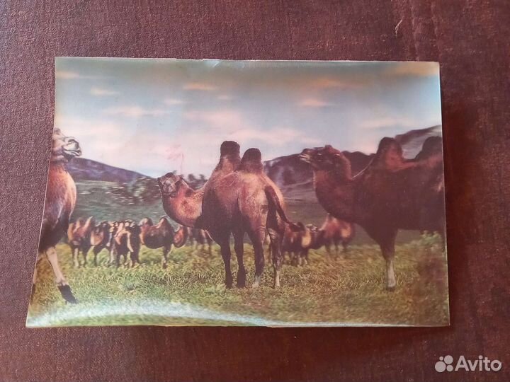 Голографическая открытка