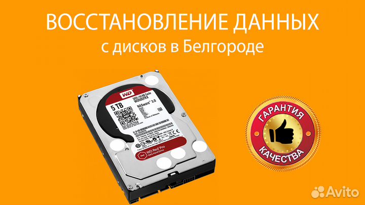 Проф восстановление данных в Белгороде