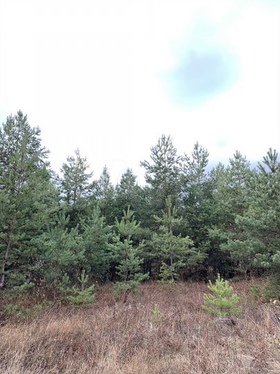 Участок 13 сот. (ИЖС)