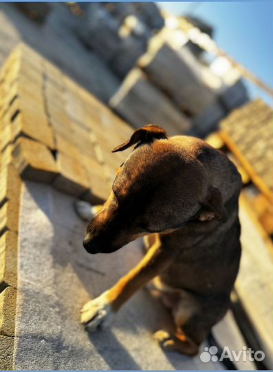 Тротуарная плитка без посредников