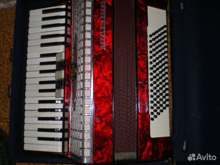 Аккордеон royal standard
