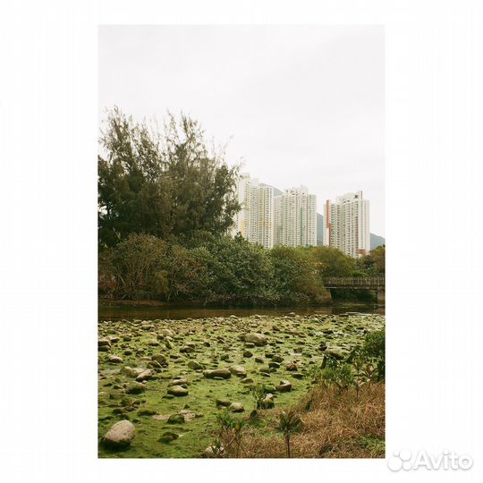 Плёночный фотоаппарат Polaroid High Definition