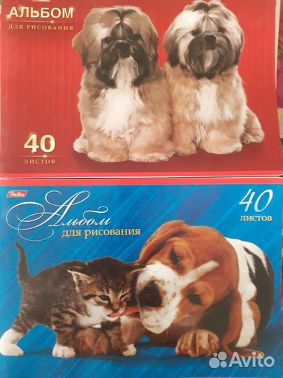 Канцтовары. Тетради 48 л, Книга учета, альбомы