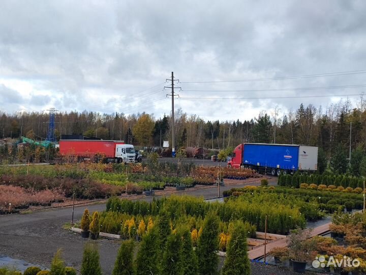 Требуется водитель универсал