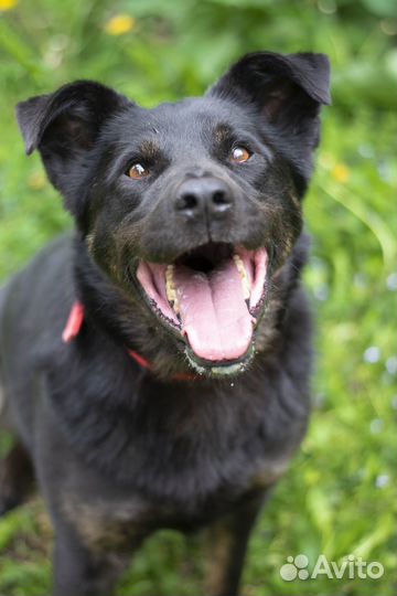 Тот самый парень который не оборачивается на взрыв