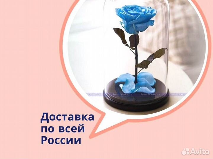 Роза в колбе. С гарантией