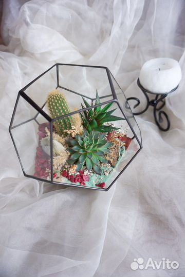 Флорариум с суккулентами своими руками