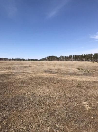 Участок 45 сот. (СНТ, ДНП)