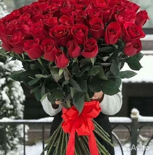 Высокие Розы Гиганты Доставка Круглосуточно