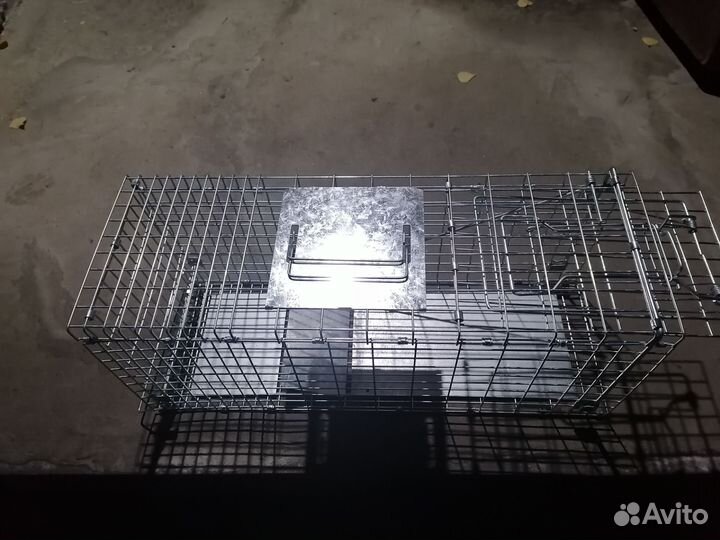Котоловка