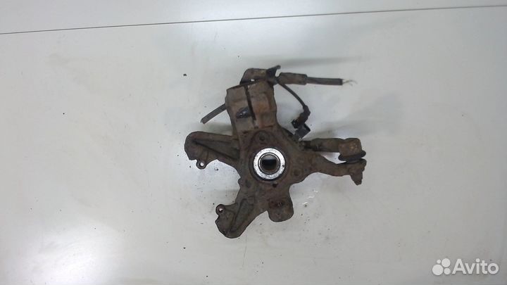 Ступица (кулак, цапфа) Skoda Octavia (A5), 2008