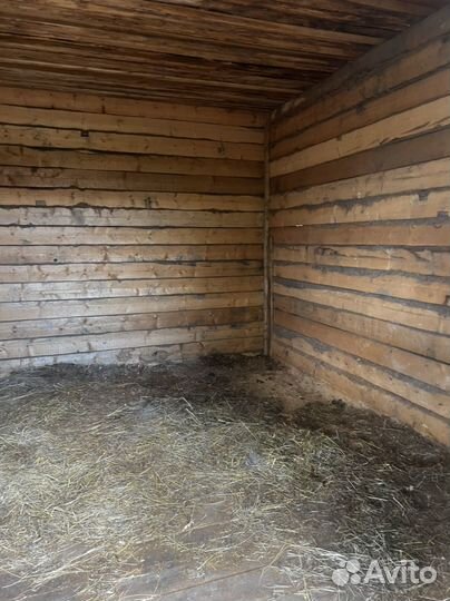 Денник для лошади