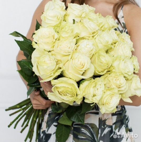 Роза Эквадор