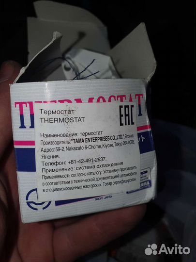 Термостат