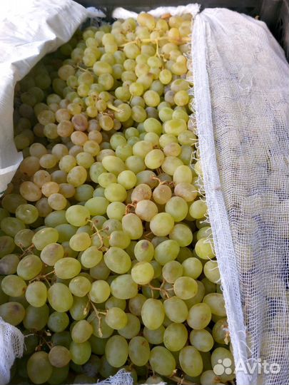 Овощи и фрукты оптом