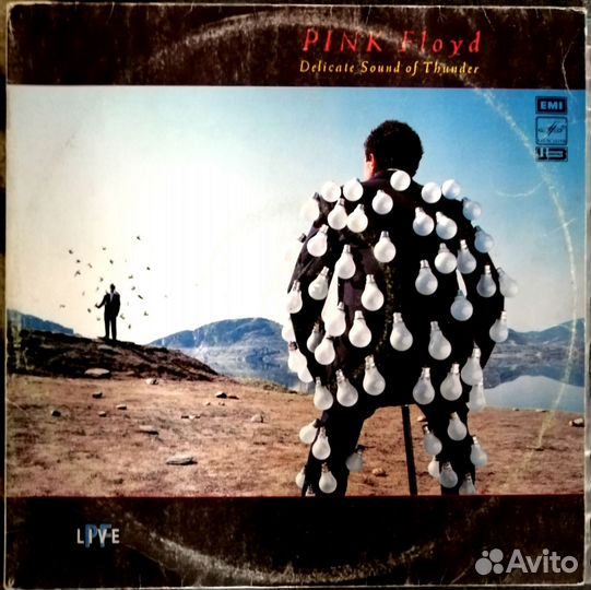 Pink Floyd - Delicate Sound Of Thunder,2LP,Мелодия
