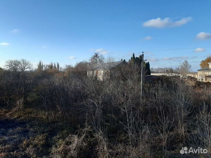 Спил деревьев