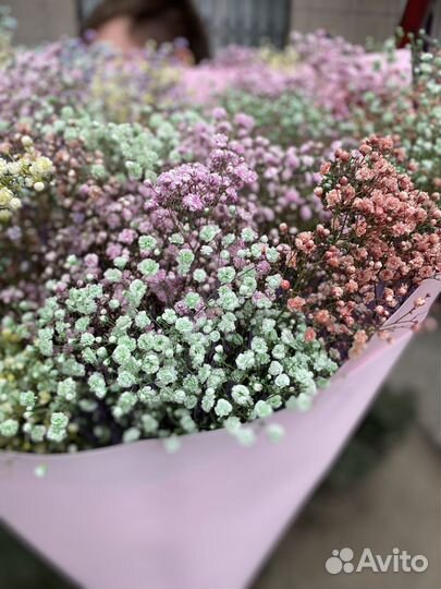 Цветы/букет из гипсофилы/радужная гипсофила