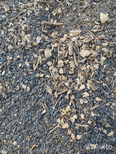 Отходы семечки