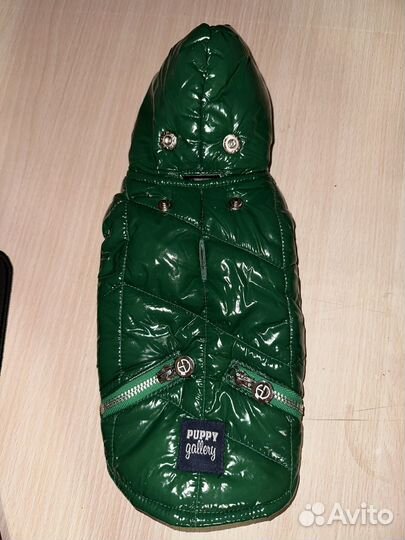 Одежда для маленьких собак