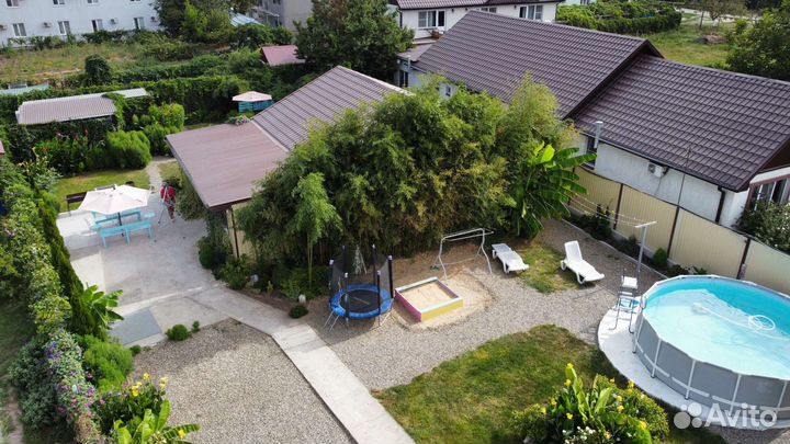 Элитный Бамбук, морозостойкий, вечнозелёный, дизай