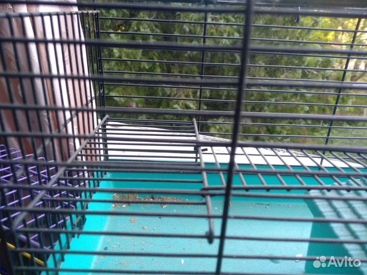 Клетка для джунгарского хомяка