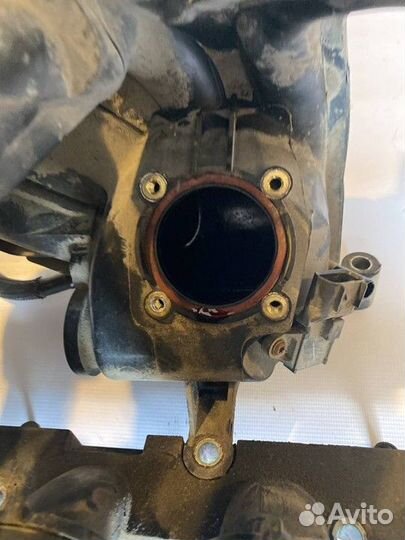 Коллектор впускной Ford Focus