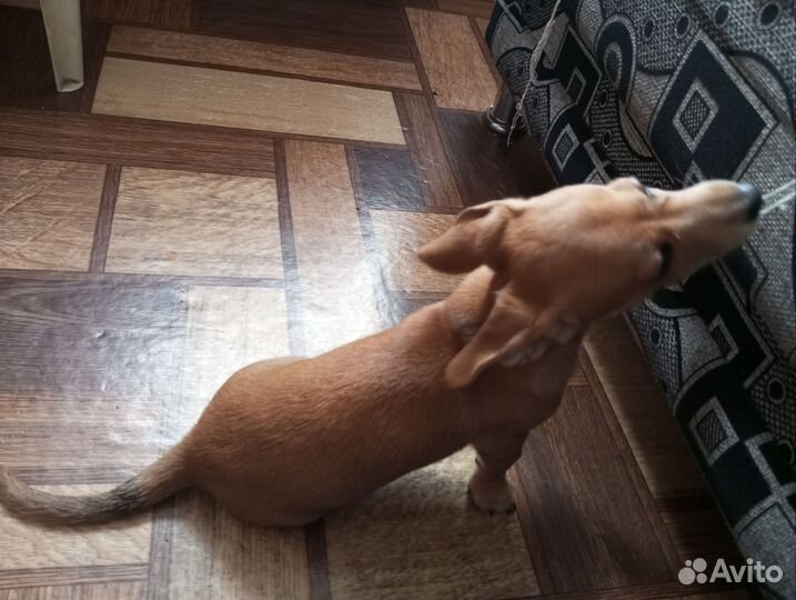 Маленькая девочка