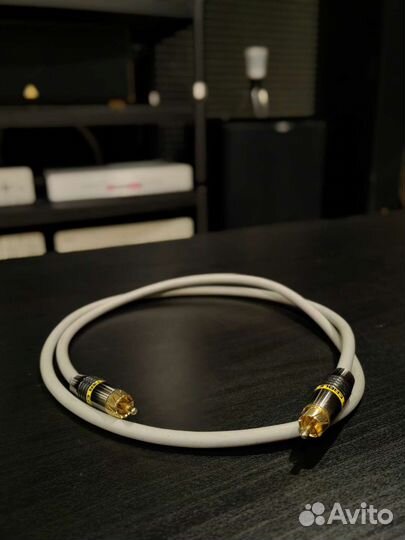 Monster Cable M 1000D