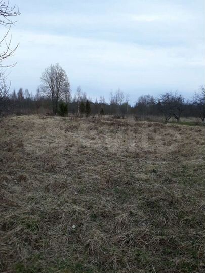 Участок 15 сот. (СНТ, ДНП)