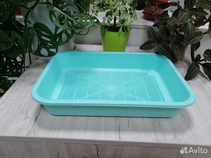 Лоток для животных