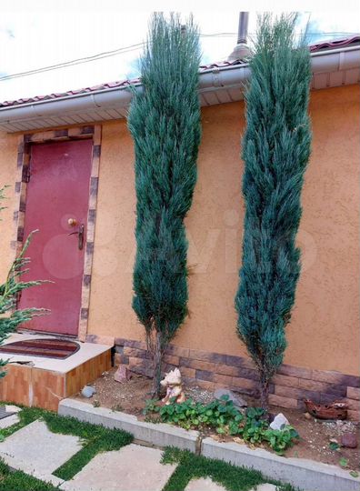 Дом 140 м² на участке 9 сот.