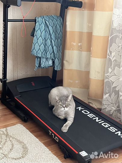 Беговая дорожка Koenigsmann T1.0