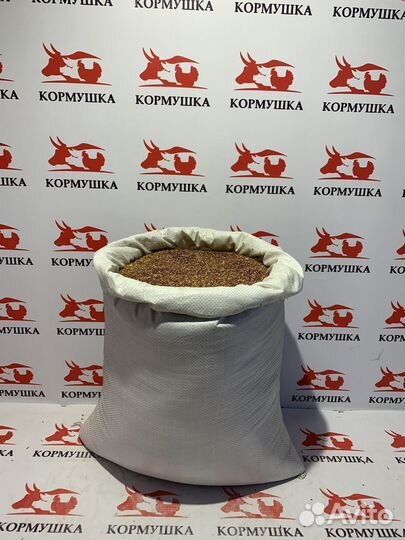 Просо желтое