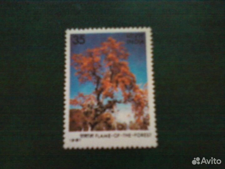 Деревья (1981, Индия)