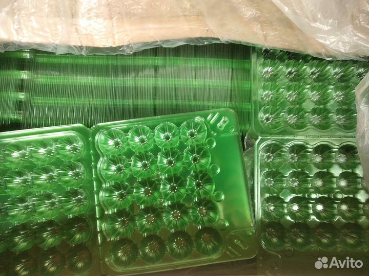 Упаковка для перепелиных яиц