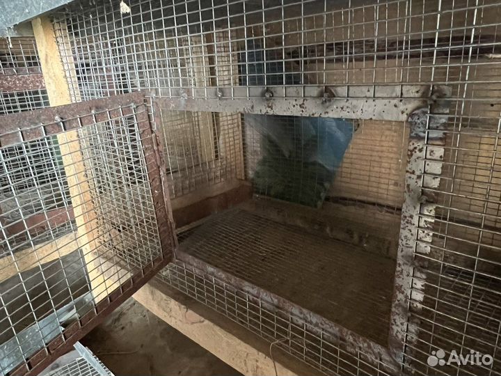 Клетки для кроликов и цеплят