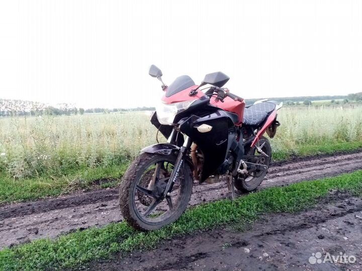 Мотоцикл Pegas zf 250