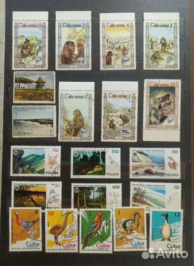 20 марок.Развитие приматов в людей.Птицы и Звери