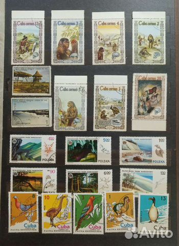 20 марок.Развитие приматов в людей.Птицы и Звери