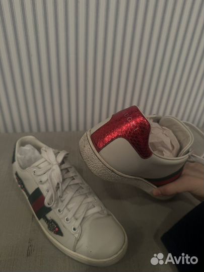 Кеды gucci оригинал