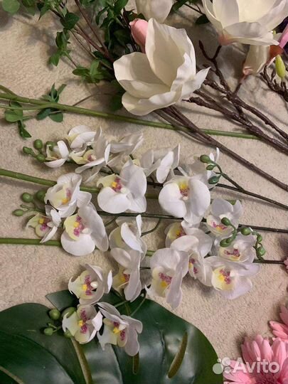 Монстера, магнолия, цветы Икеа смикка