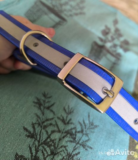 Товары для собак