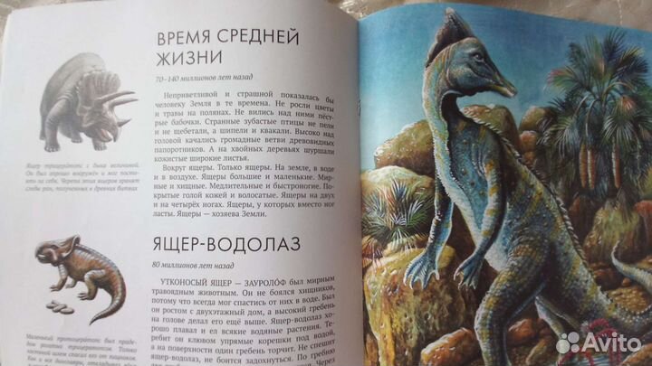 Книги энциклопедия