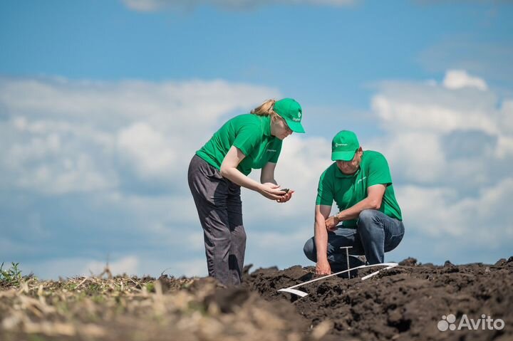 Услуги агронома