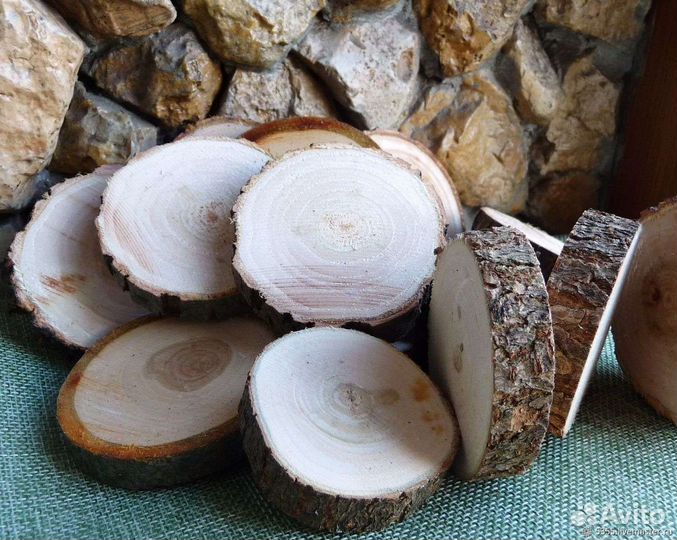 Спилы разной породы древесины