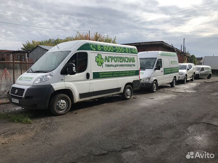 Авито ижевск работа вакансии водитель в в ижевске свежие. Авито ижевск вакансии водитель. Авито ижевск вакансии водитель. Авито ижевск вакансии водитель. Авито ижевск вакансии водитель.