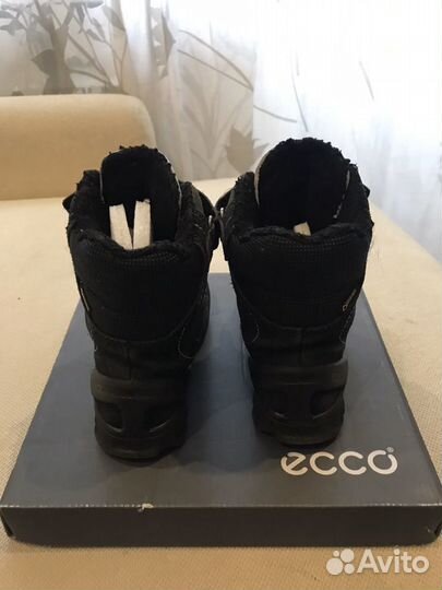 Ботинки Ecco