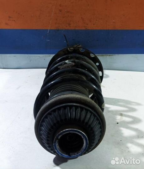 Амортизатор передний правый Opel Zafira B 2005